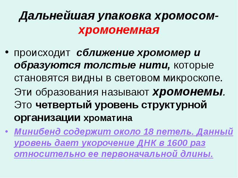 Дальнейшая упаковка хромосом-хромонемная
происходит сближение хромомер и образуются толстые нити, которые Дальнейшая упаковка хромосом-хромонемная
происходит сближение хромомер и образуются толстые нити, которые