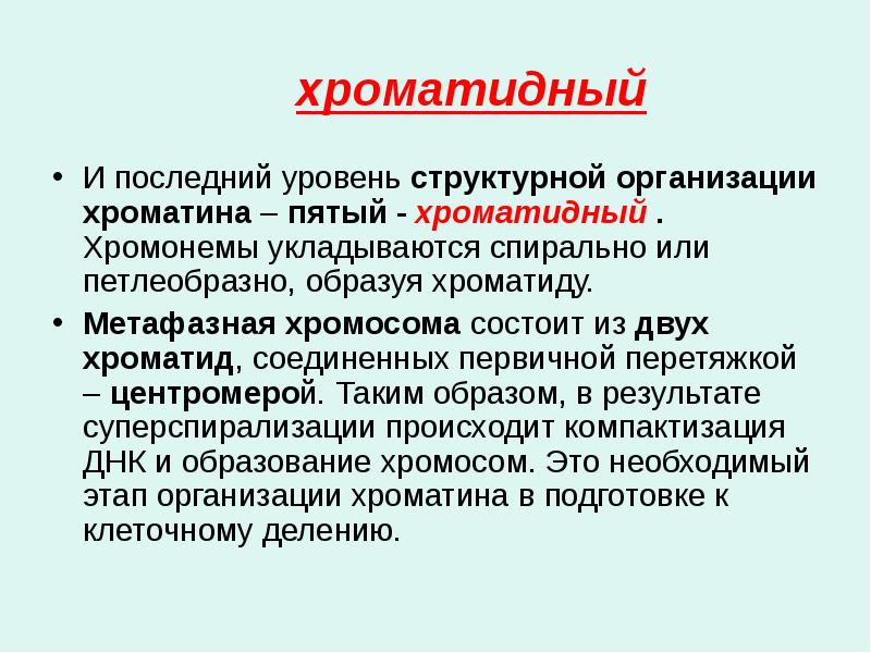хроматидный
И последний уровень структурной организации хроматина – пятый - хроматидный хроматидный
И последний уровень структурной организации хроматина – пятый - хроматидный