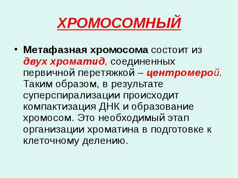 ХРОМОСОМНЫЙ
Метафазная хромосома состоит из двух хроматид, соединенных первичной перетяжкой – ХРОМОСОМНЫЙ
Метафазная хромосома состоит из двух хроматид, соединенных первичной перетяжкой –