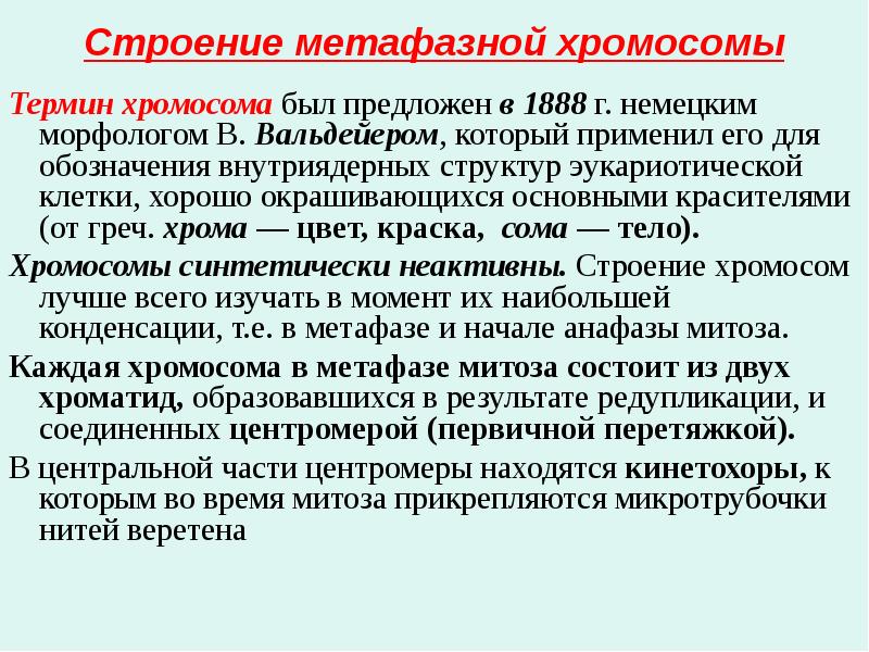Строение метафазной хромосомы
Термин хромосома был предложен в 1888 г. немецким Строение метафазной хромосомы
Термин хромосома был предложен в 1888 г. немецким