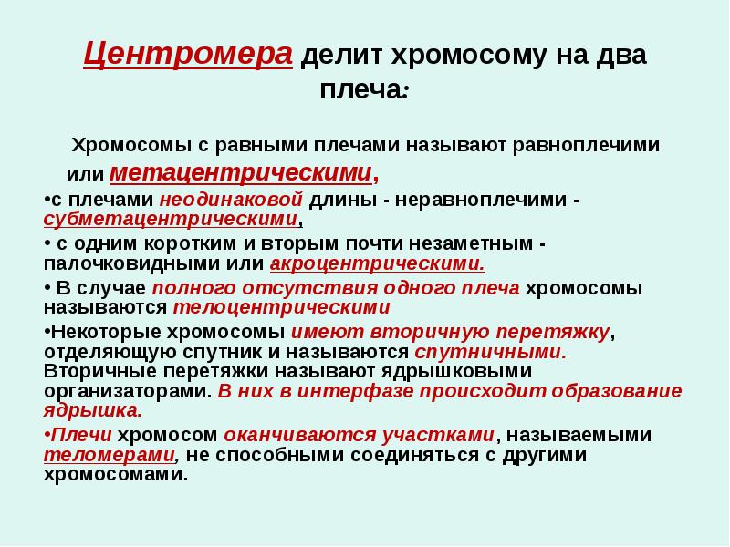 Центромера делит хромосому на два плеча:
Хромосомы с Центромера делит хромосому на два плеча:
Хромосомы с