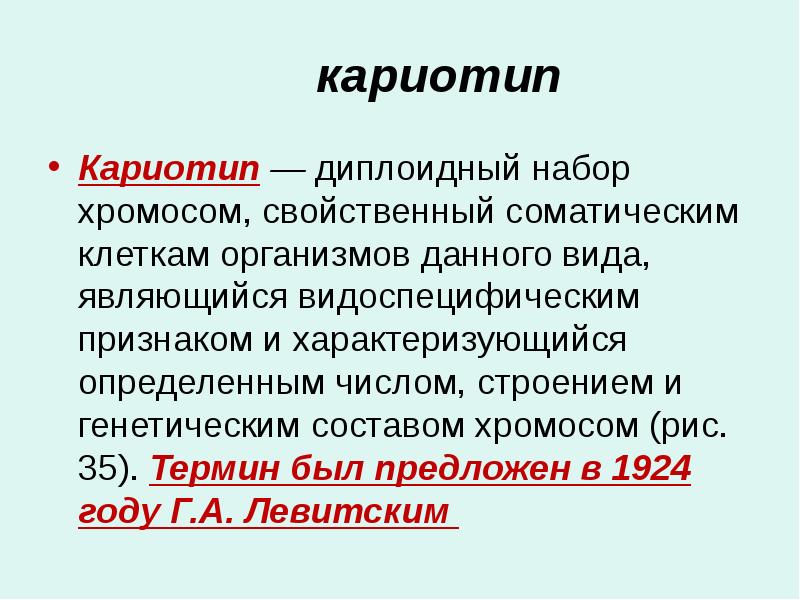 Соматические клетки диплоидные. Кариотип характеризуется. Видовая специфика кариотипа. Особенности кариотипа. Видовая специфичность кариотипа.