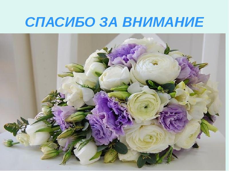 СПАСИБО ЗА ВНИМАНИЕ СПАСИБО ЗА ВНИМАНИЕ