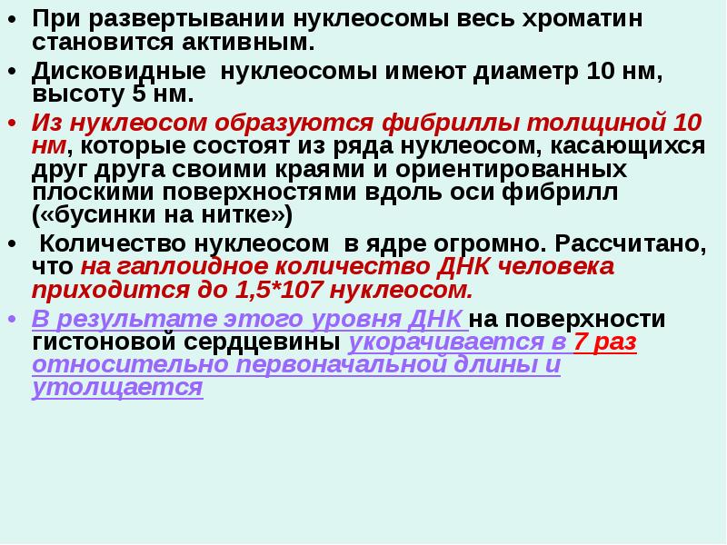 При развертывании нуклеосомы весь хроматин становится активным.
При развертывании нуклеосомы При развертывании нуклеосомы весь хроматин становится активным.
При развертывании нуклеосомы