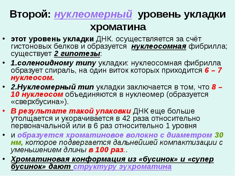 Второй: нуклеомерный уровень укладки хроматина
этот уровень укладки ДНК. осуществляется за Второй: нуклеомерный уровень укладки хроматина
этот уровень укладки ДНК. осуществляется за