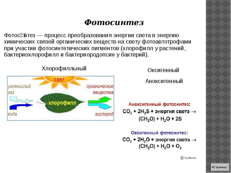 Презентация химическое действие света