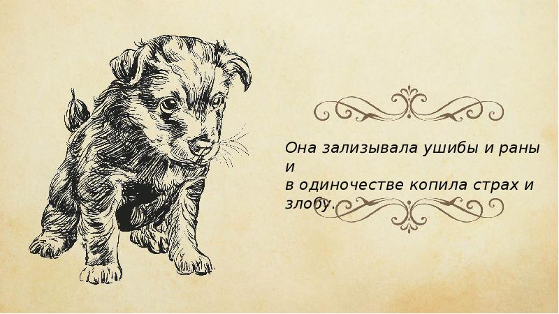 Рисунок кусака 7 класс