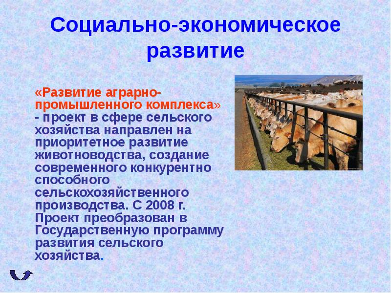 В начале 21 века руководством россии были приняты приоритетные национальные проекты направленные на