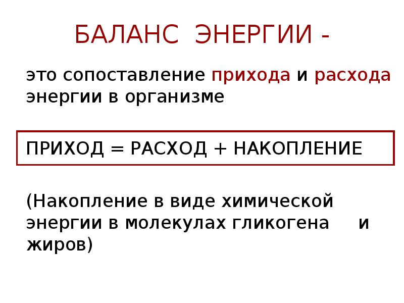 Схема баланса энергии в организме животного