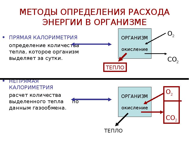 Виды обмена энергии