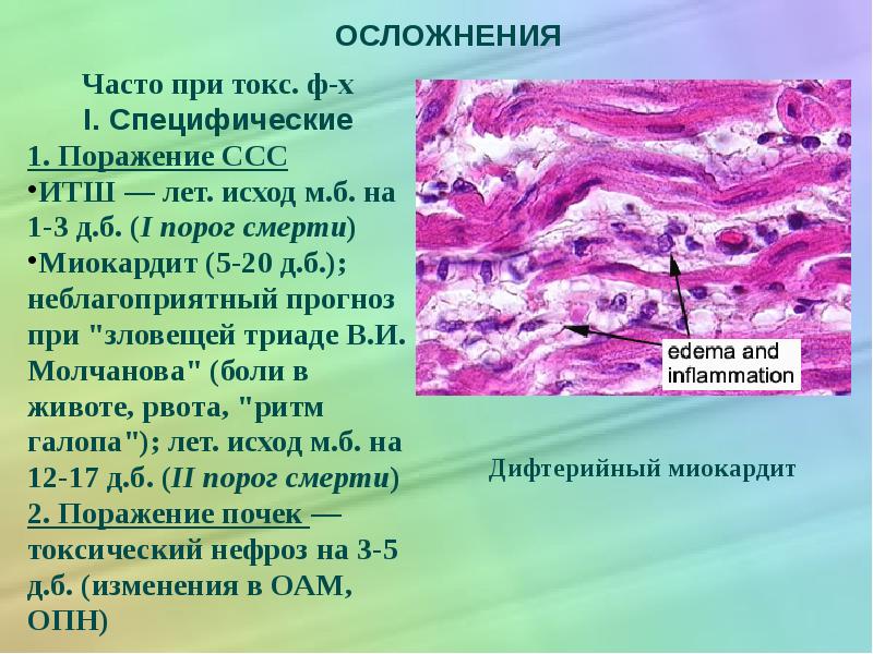 Осложнения дифтерии. Поражение сердечно-сосудистой системы при дифтерии. Поражение ССС при дифтерии это. Поражение почек при дифтерии.