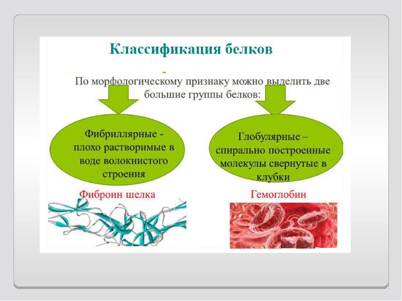 Классификация белков презентация