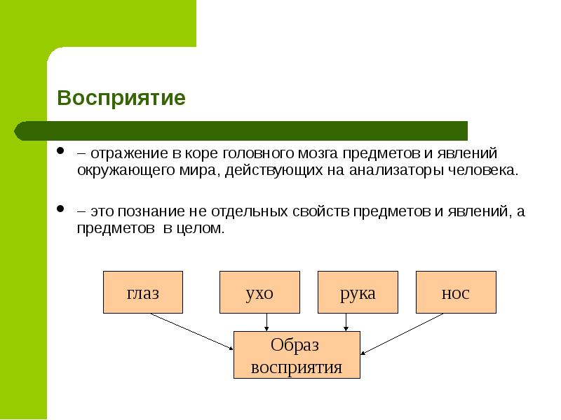 Презентация по биологии познавательные процессы и интеллект