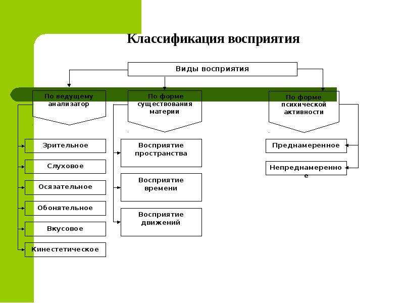 Механизмы познавательного процесса