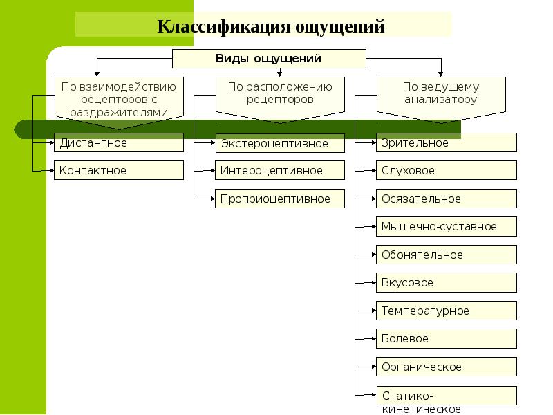 Виды ощущений