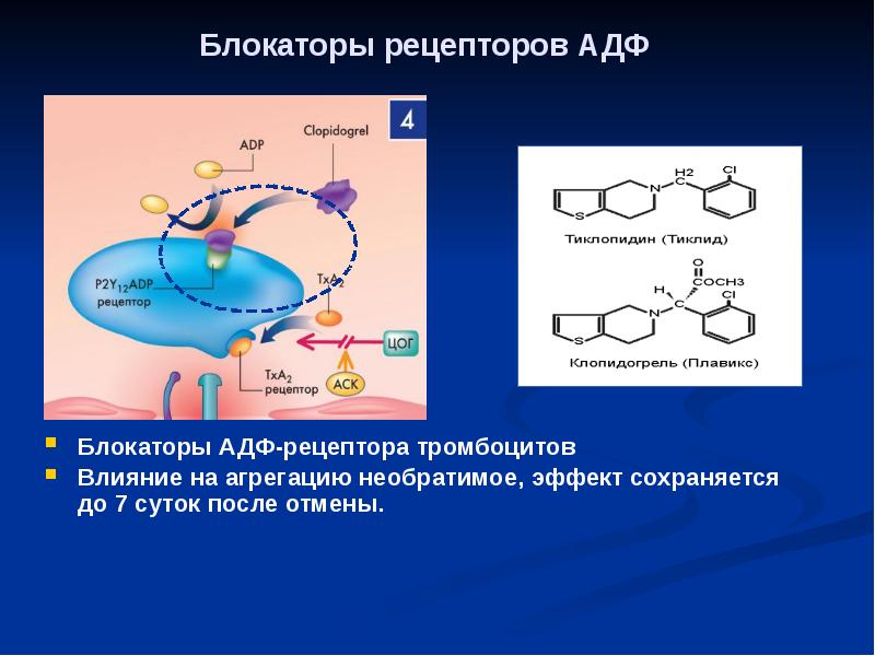 Блокаторы рецепторов