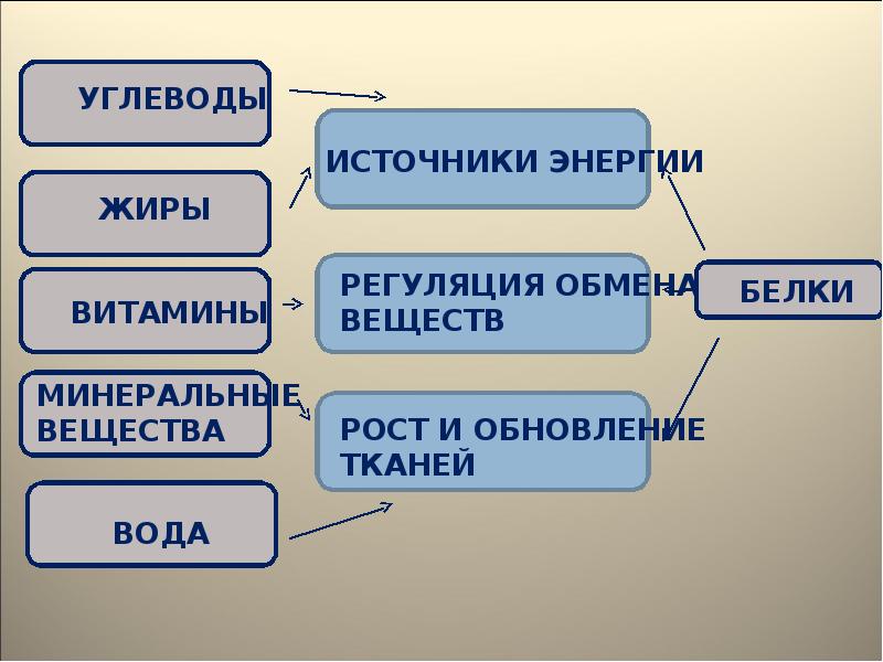 Презентация физиология питания технология 8 класс