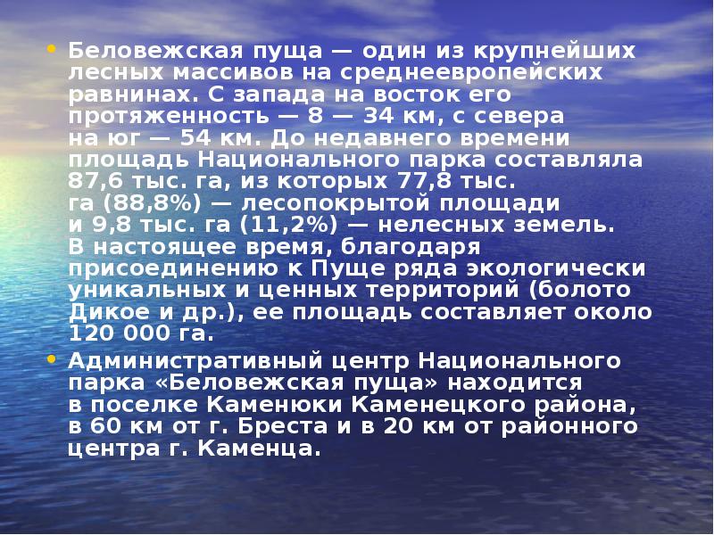 Беловежская пуща калории. Беловежская пуща презентация. Рассказ о Беловежской пуще.