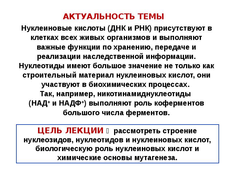 Нуклеиновая кислота тема. Актуальность темы нуклеиновые кислоты. Нуклеиновые кислоты ДНК. Проект на тему нуклеиновые кислоты ДНК И РНК. Актуальность проекта нуклеиновые кислоты.