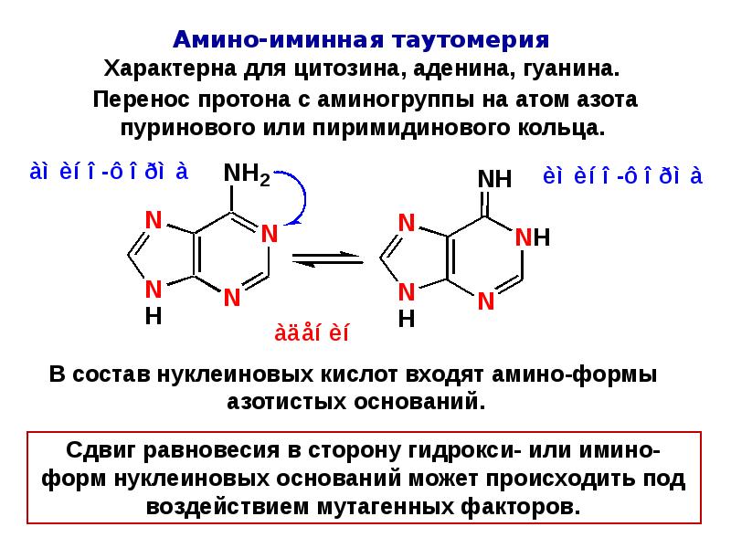 Перемещение нуклеотидов. Таутомерные нуклеотиды. Таутомерия азотистых оснований. Таутомерные формулы гуанина. Таутомерия аденина 3 формы.