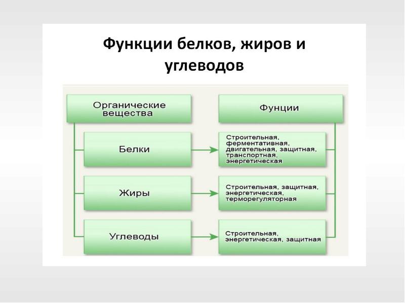 Обмен жиров презентация