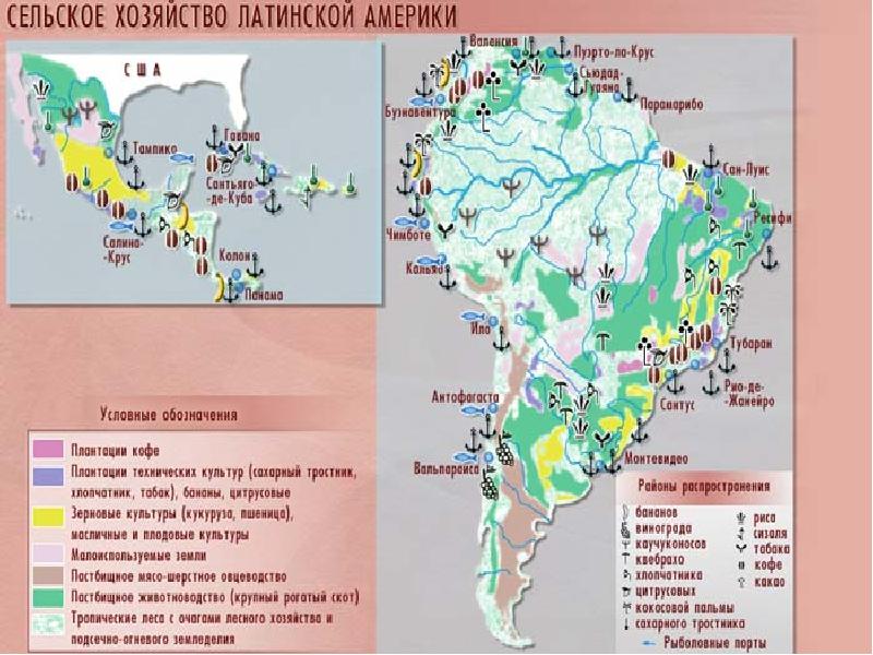 Карта лесных ресурсов латинской америки