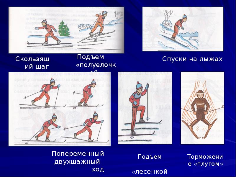 Лыжная подготовка картинки