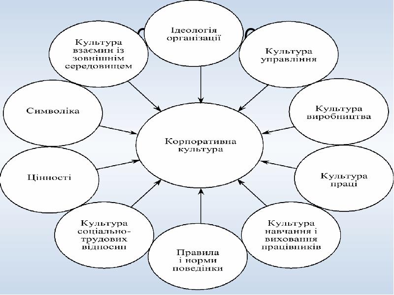 Полит культура план