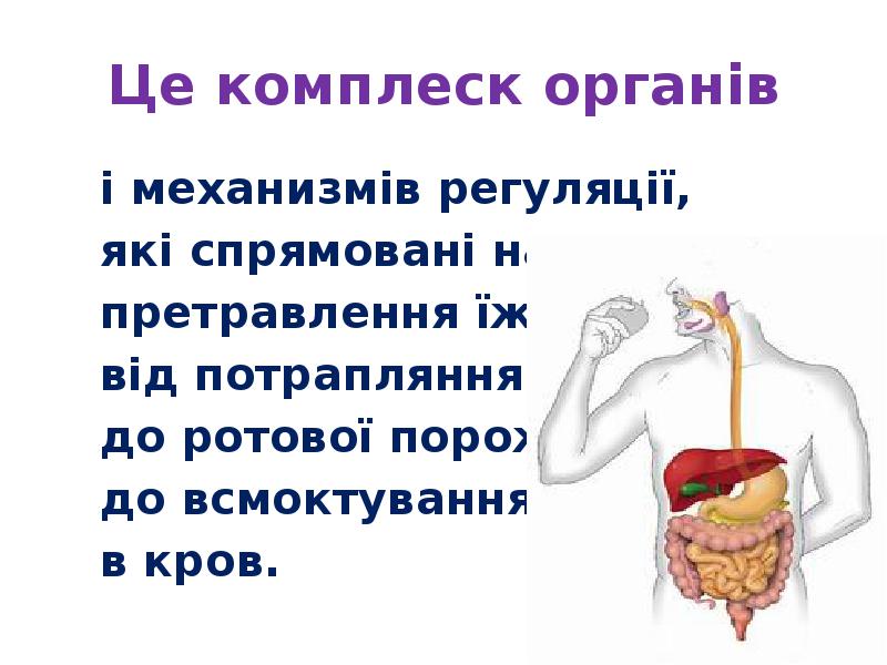 Це комплеск органів
і механизмів регуляції,
які Це комплеск органів
і механизмів регуляції,
які