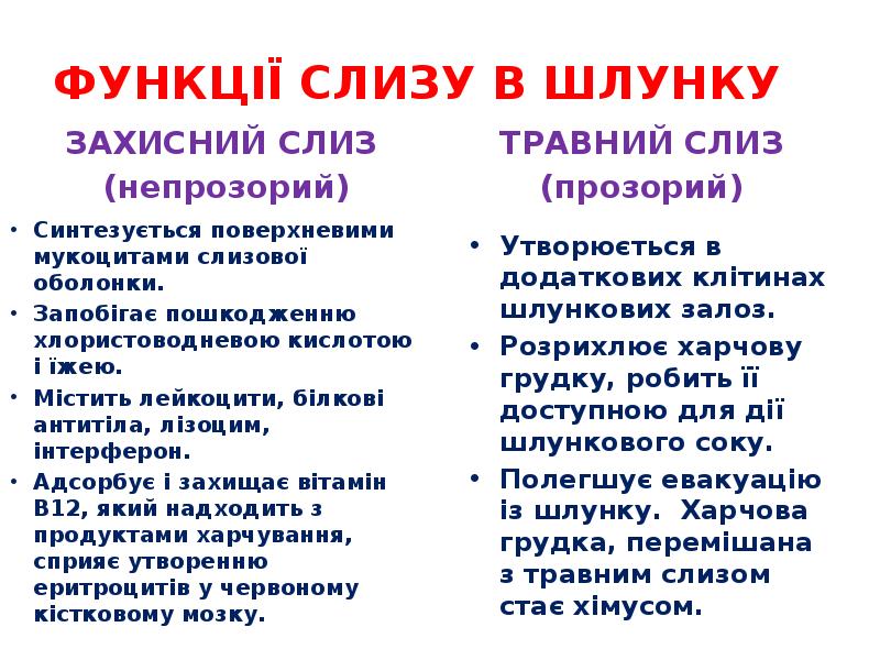 ФУНКЦІЇ СЛИЗУ В ШЛУНКУ
ЗАХИСНИЙ СЛИЗ
(непрозорий) ФУНКЦІЇ СЛИЗУ В ШЛУНКУ
ЗАХИСНИЙ СЛИЗ
(непрозорий)