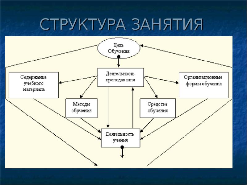 Структура обучения