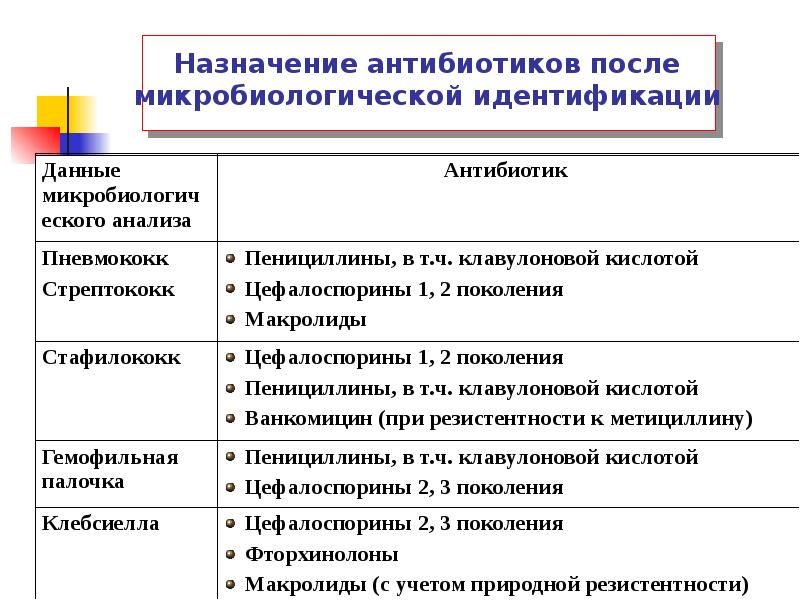 Индивидуальный проект антибиотики