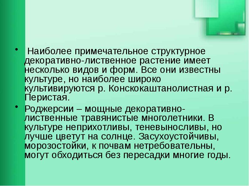 Многолетней культурой является. Нетребовательный. Роджерсия конскокаштанолистная agronomov.ru.