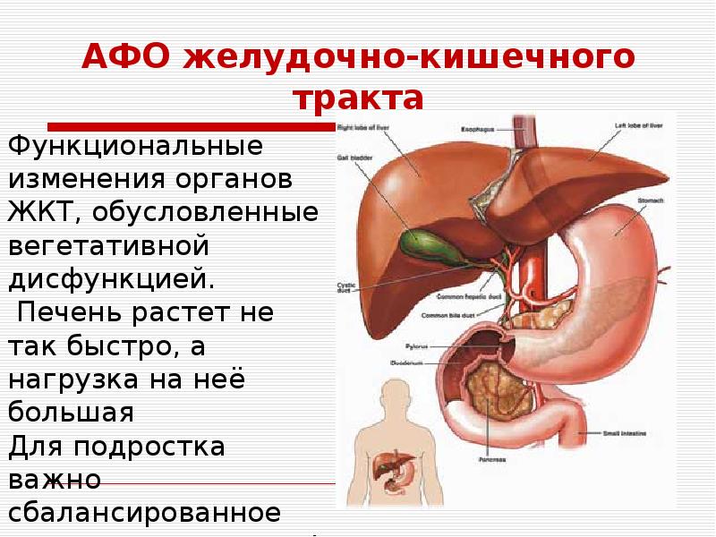 Афо жкт у детей презентация