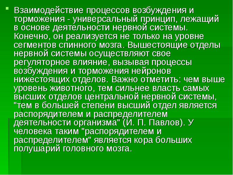 Процессы возбуждения и торможения