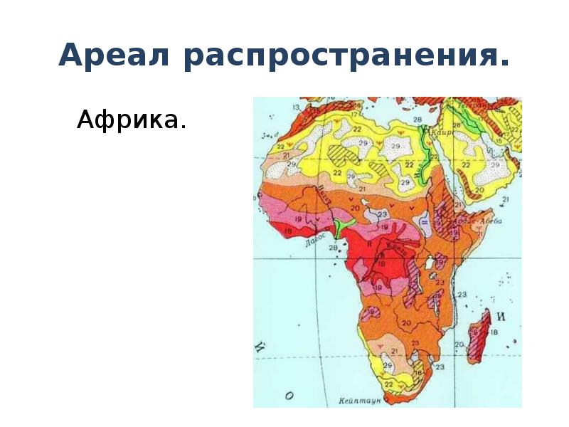 Экологическая карта африки