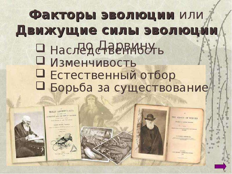 Биология история развития органического мира 9 класс презентация