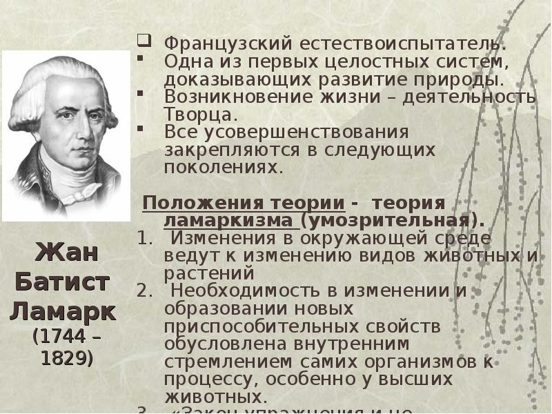 Линней ламарк дарвин презентация