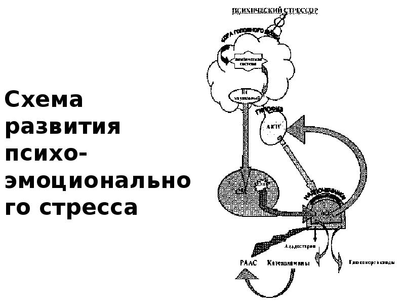 Эмоциональный дистресс