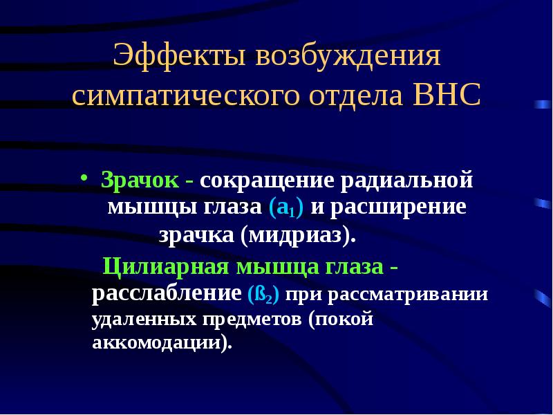 Какой отдел вегетативной нервной системы контролирует изменение зрачка глаза на рисунке