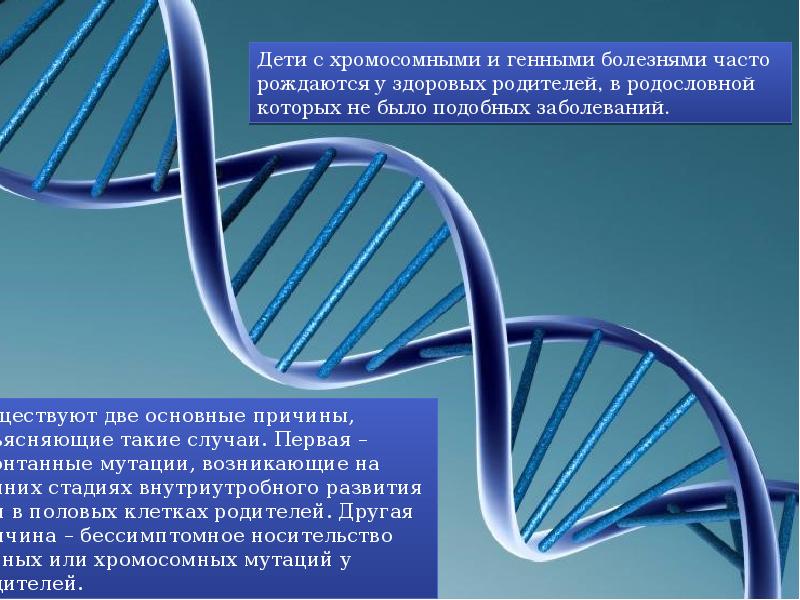 Наследственные заболевания человека и их предупреждение презентация