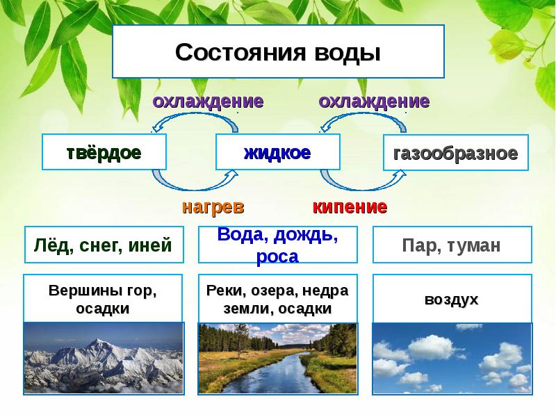 Три состояния воды картинки для детей