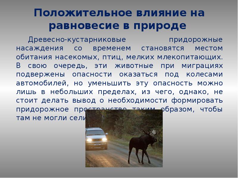 Положительное действие. Равновесие в природе. Примеры равновесия в природе. Равновесие в природе и технике. Равновесие в природе сообщение.