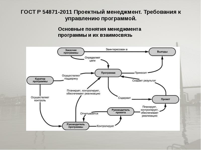 Основные понятия управления проектами и программами