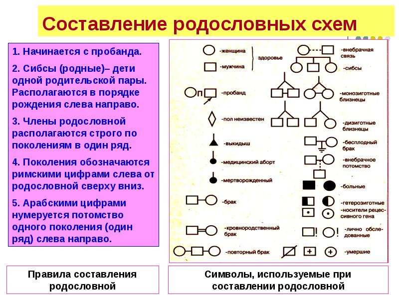 Проект по биологии 10 класс генетика