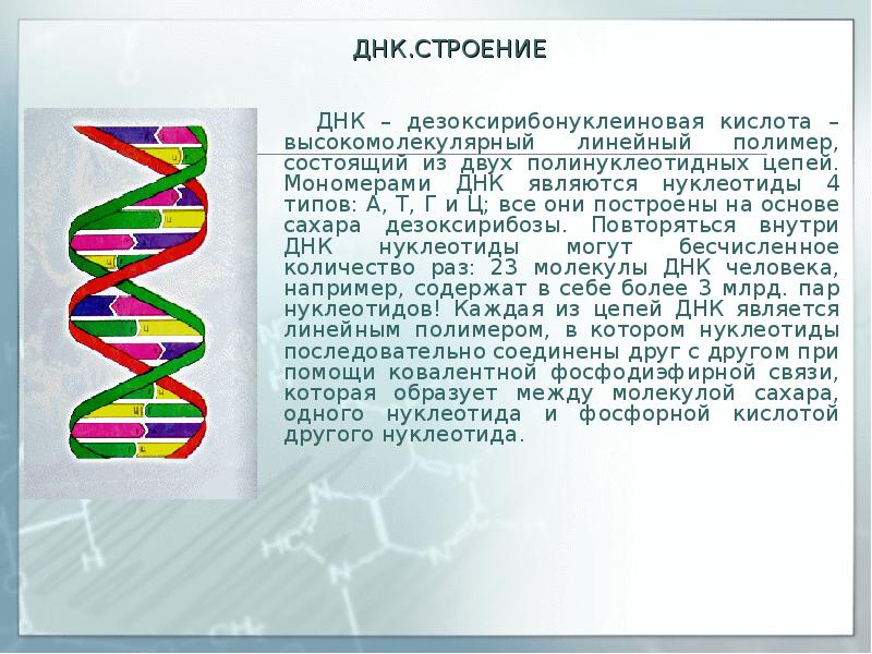 Днк состав структура. Расшифровка строения молекулы ДНК. Структура молекулы ДНК 9 класс. Структура молекулы а-ДНК В биологии. Расшифровка структуры молекулы ДНК.