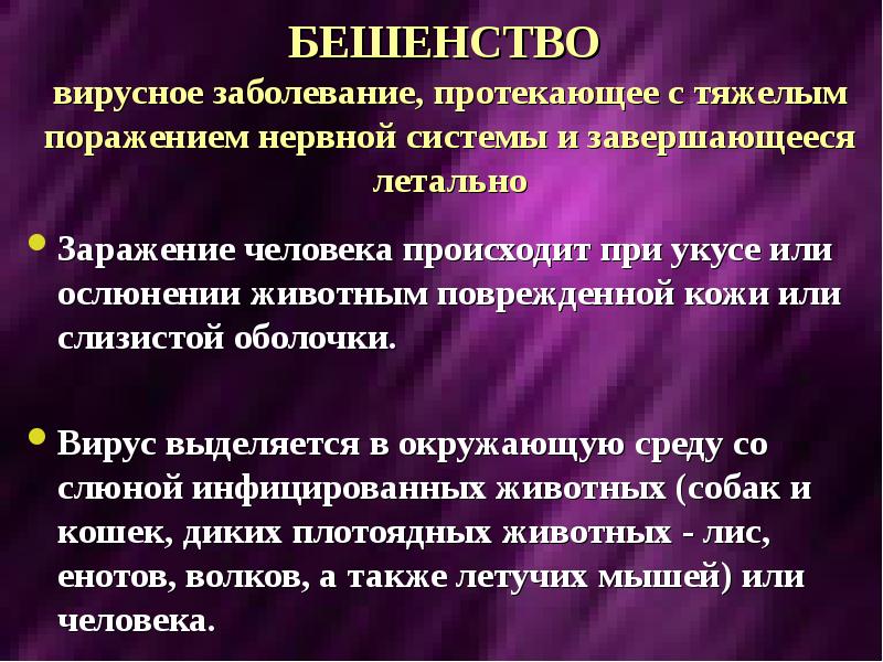 Болезнь бешенство. Бешенство характеристика заболевания. Вирусное заболевание бешенство. Вирусные заболевания бешенство кратко. Вирус бешенства инфекционные поражения.