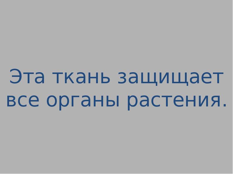 Своя игра по биологии 10 класс презентация