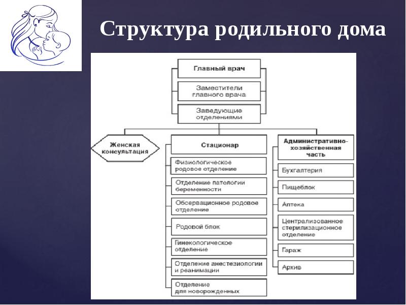 Структура женской консультации схема