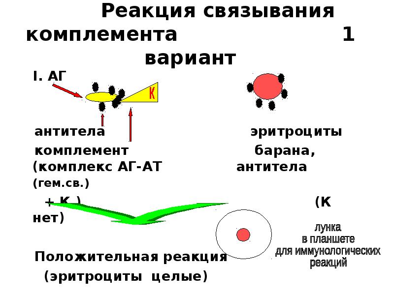 Реакция связывания комплемента микробиология. Серологические реакции иммунология. Серологические реакции схема. РСК иммунология. РСК положительная реакция.